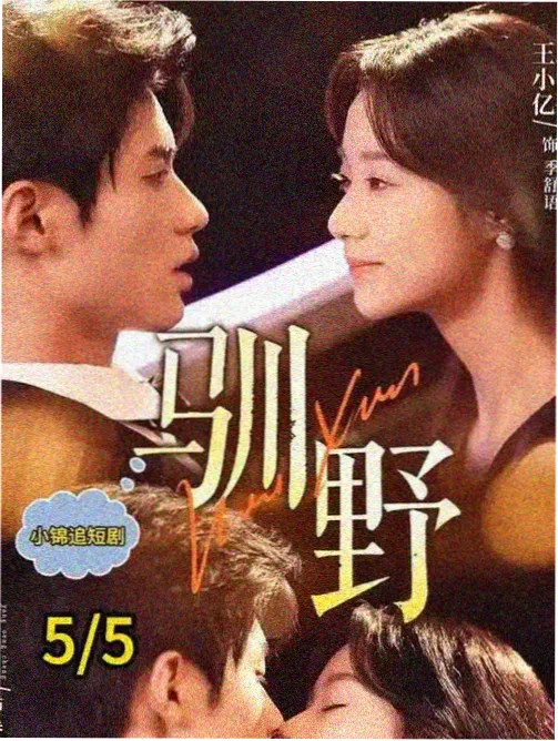 韩剧在线观看 机智医生生活